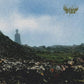 Confusion Gate - Vinyl LP