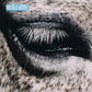 This Is Why We Lost - Vinyl LP