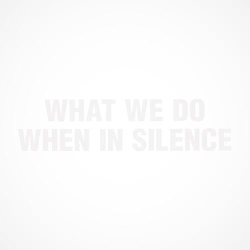 What We Do When In Silence - Vinyl LP