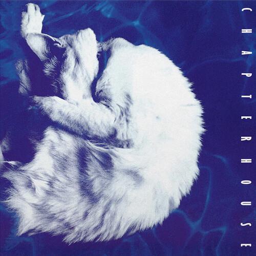 Whirlpool - Limited 180-Gram White & Black Marble Colored Vinyl - Limited Edition Vinyl LP 180 Gram (White/Black)