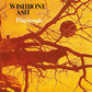 Pilgrimage - Vinyl LP 180 Gram