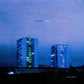 Nocturnal Blues - Vinyl LP