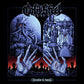 Discipline & Punish - Black Ice - Vinyl LP