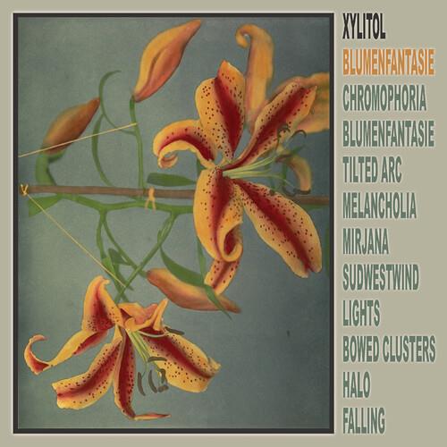 Blumenfantasie - Vinyl LP