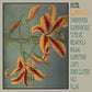 Blumenfantasie - Vinyl LP