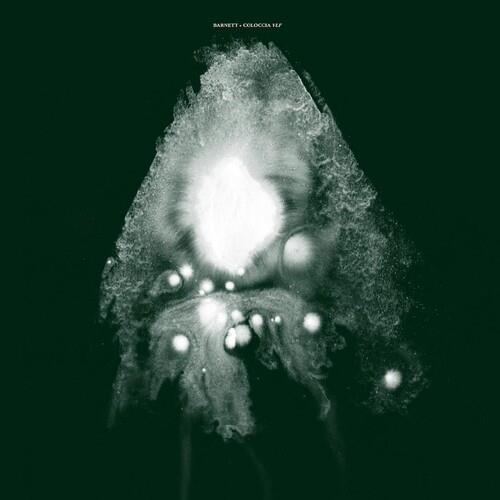 VLF - Vinyl LP