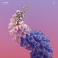 Skin (PINK VINYL) - Vinyl LP (Pink)