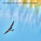 Only Frozen Sky Anyway - Vinyl LP