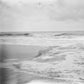 Brisk - Vinyl LP 180 Gram - PRE-ORDER