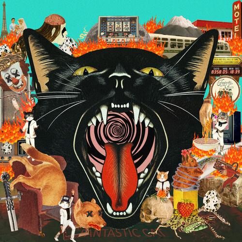 Cat Out Of Hell - Vinyl LP