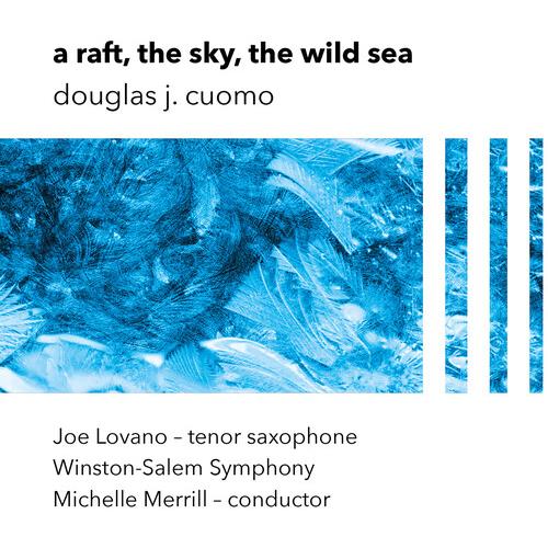A Raft, the Sky, the Wild Sea - Vinyl LP
