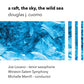 A Raft, the Sky, the Wild Sea - Vinyl LP