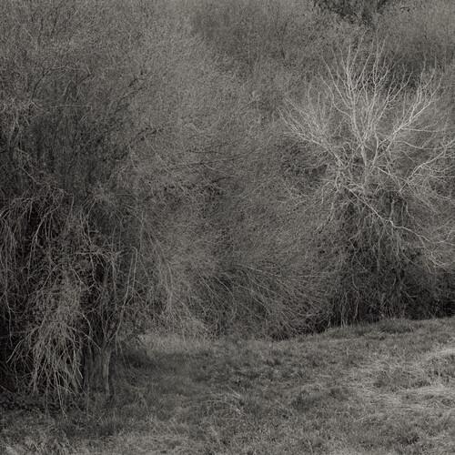 Atrophies For Piano - White - Vinyl LP 180 Gram (White)
