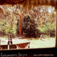 Colonial Drift - Vinyl LP