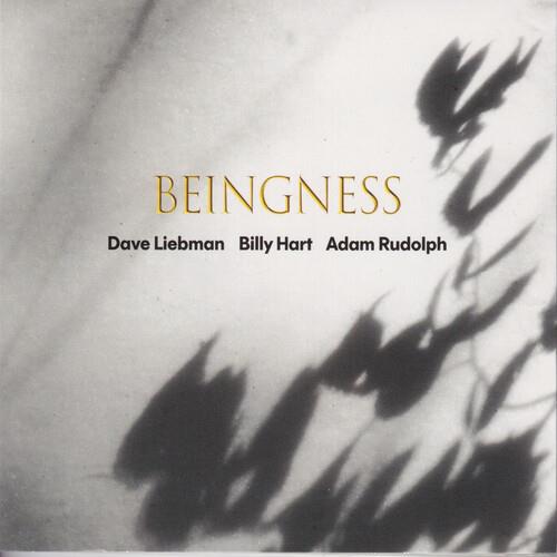 Beingness - Limited Edition Vinyl LP 180 Gram - PRE-ORDER