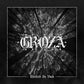Unified In Void - Vinyl LP