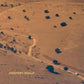 Nocturnal Consolations - Vinyl LP