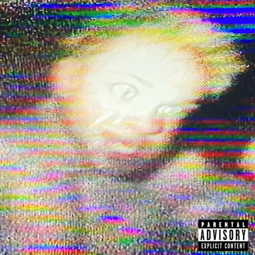Keep Honking I'm About To Fucking Kill Myself - Vinyl LP