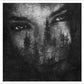 The Ashes of Light (SILVER VINYL) - Vinyl LP (Silver)