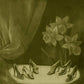 Into The Grey Salons - Vinyl LP