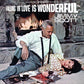 Falling In Love Is Wonderful ( TANGERINE VINYL ) - Vinyl LP