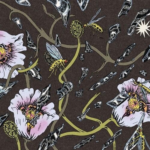 Dark brown vinyl sleeve with illustrated pink flowers, yellow wasps, and floating crystals