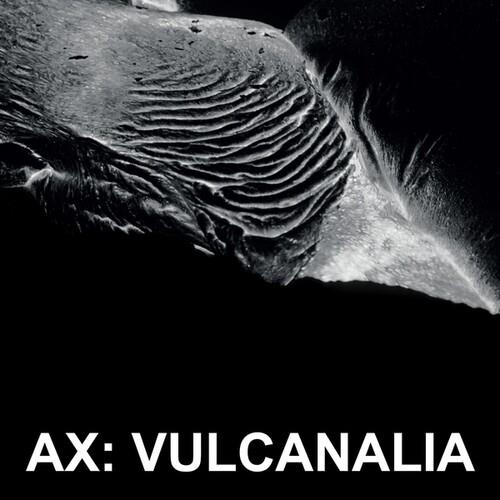Black and white album cover featuring a close-up of textured volcanic rock formations