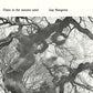 Diana In The Autumn Wind - Vinyl LP