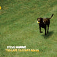 Too Late to Start Again - Vinyl LP