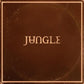 Brown vinyl record sleeve with the word JUNGLE in gold lettering