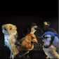 Vinyl LP cover featuring a barn owl, blue jay, and other birds against a black background