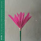 nen - Vinyl LP