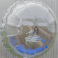 Surprise Wish - Ultra Clear Vinyl - Vinyl LP - PRE-ORDER