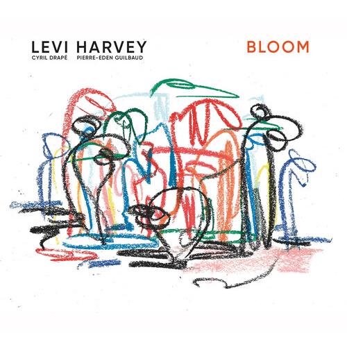 Bloom - Vinyl LP - PRE-ORDER