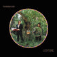 Lichtung - Limited Edition Vinyl LP - PRE-ORDER