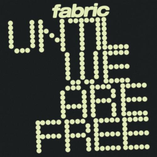 Until We Are Free - Vinyl LP