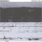 Unified Field - Vinyl LP - PRE-ORDER
