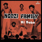 Hi Babe/Really - 7-Inch Single