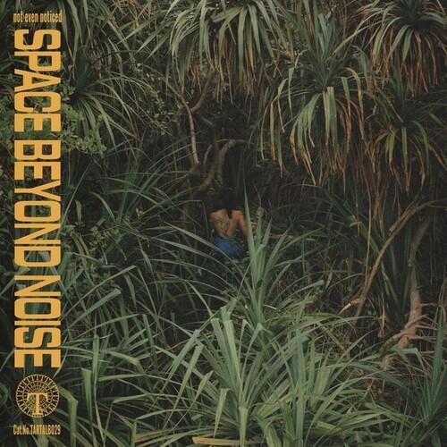 Vinyl LP cover featuring a person sitting amidst dense green tropical foliage
