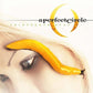 Thirteenth Step - Vinyl LP