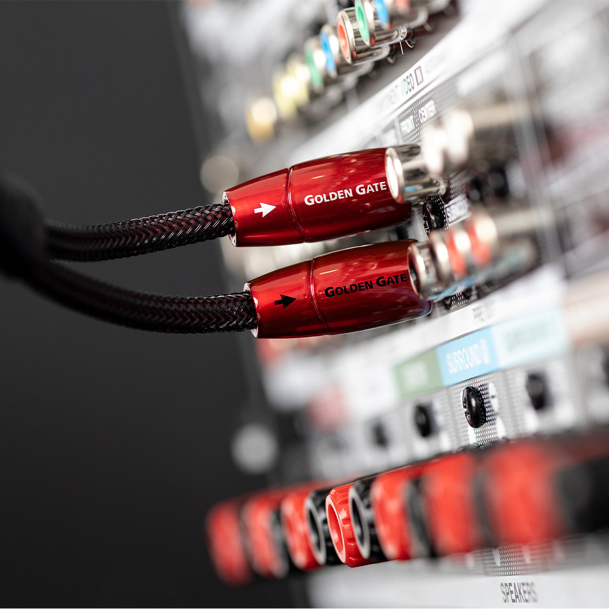 AudioQuest Golden Gate 3.5mm to RCA Audio Cable (16.4 ft.)