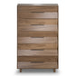 BDI KAVA Bedroom 9685 5-Drawer Chest (Walnut)