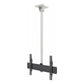 Kanto CM600 TV Ceiling Mount (White)