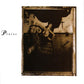 Surfer Rosa - Vinyl LP
