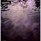 We Move Through Weather - Vinyl LP
