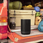 Sonos Indoor/Outdoor Set with Sonos Move 2 and Era 100 Wireless Speaker (Black)