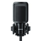 Shure SM4 Condenser Microphone Kit with Shock Mount & Carrying Case