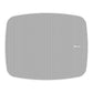 Klipsch RSM-650 Indoor/Outdoor Surface Mount Speakers with 6.5" Woofer - Pair (White)