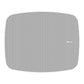 Klipsch RSM-650 Indoor/Outdoor Surface Mount Speakers with 6.5" Woofer - Pair (White)