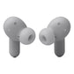 JBL Live Beam 3 True Wireless Noise Cancelling Earbud Bundle with gSport Case (Silver)